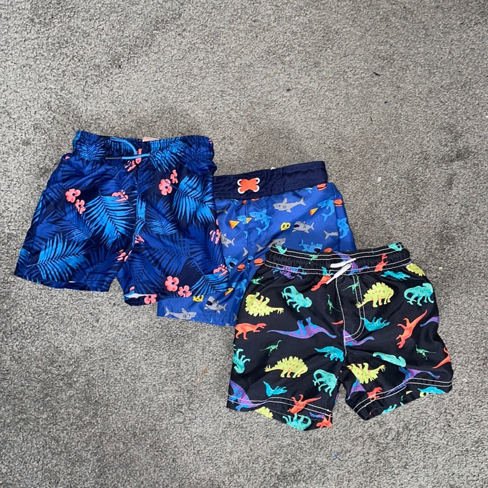 Toddler Swim Trunks